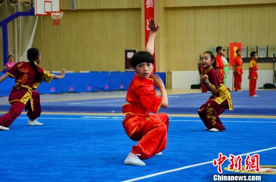 图为参加2019青海省第五届武术套路锦标赛的选手。 鲁丹阳 摄 图为参加2019青海省第五届武术套路锦标赛的选手。 鲁丹阳 摄