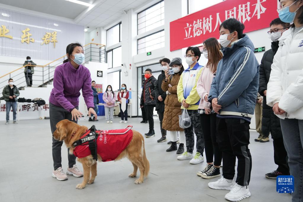 这些星座最容易出逗逼段子手