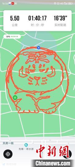 四川跑友跑出的胖老虎。 四川跑友供图 四川跑友跑出的胖老虎。 四川跑友供图