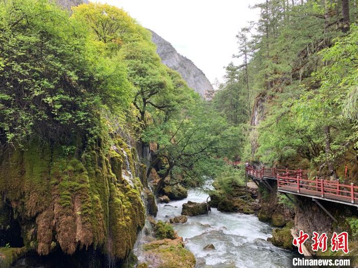 图为普达措至尼汝村徒步沿线美景。 熊佳欣 摄 图为普达措至尼汝村徒步沿线美景。 熊佳欣 摄