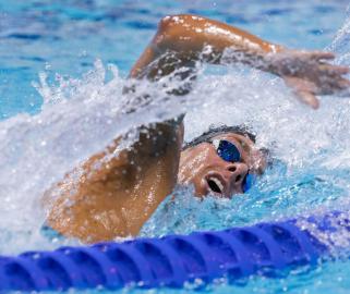 游泳世锦赛：意大利选手获得男子1500米自由泳金牌
