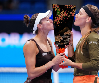 ̫ƽ򹫿Ͳ˹/˹طŮ˫ھ