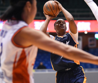 WCBA��������ʯ��ׯӢ�������Ĵ����Զ��