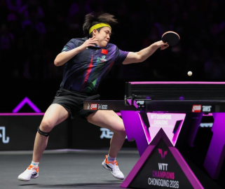 ƹ���򡪡�WTT����ھ����������ս����е�16ǿ